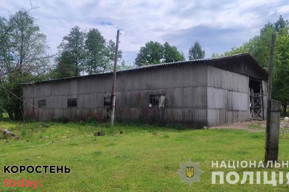 Поліцейські затримали жителя Олевської громади, який викрав з одного підприємства півтора центнера вівса