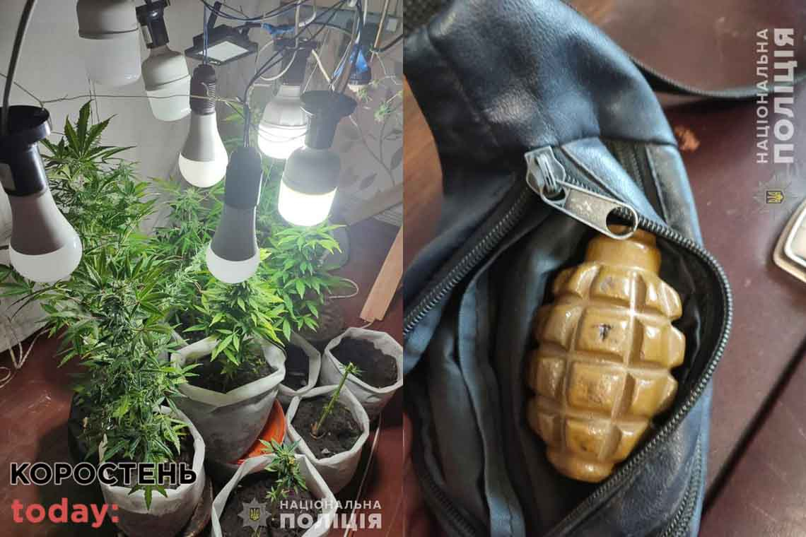 У 27-річного жителя Малина поліцейські виявили міні оранжерею з коноплі та гранату