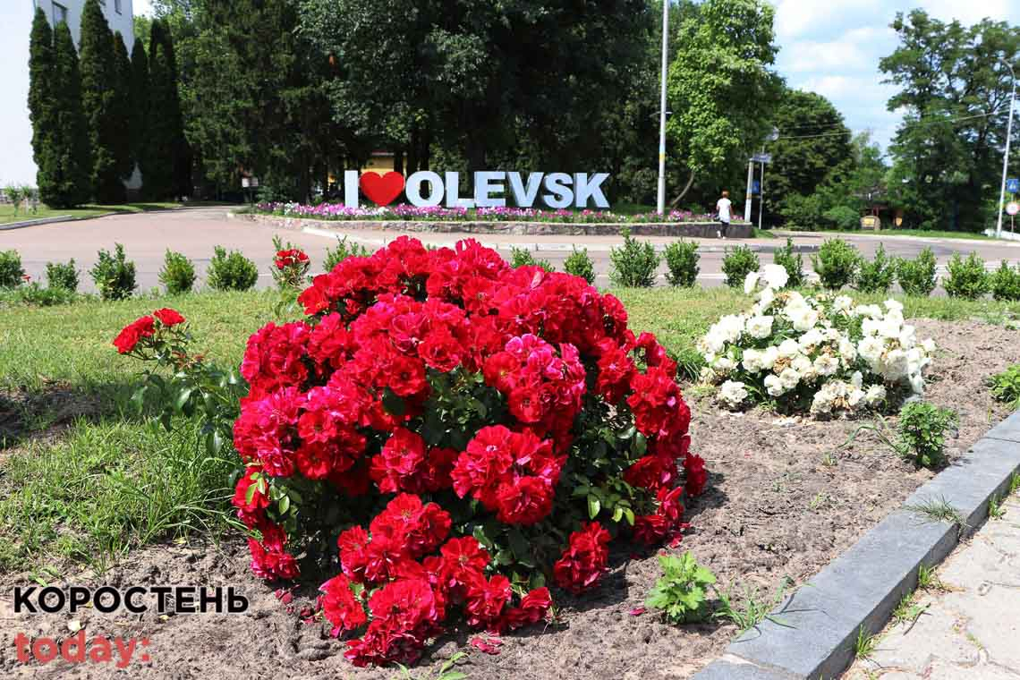 Квітучий Олевськ 📷ФОТОрепортаж