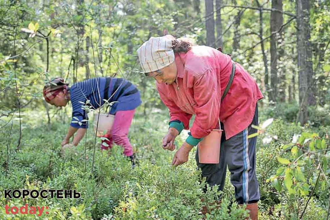 На території деяких населених пунктах Коростенського району дозволили відвідувати ліси