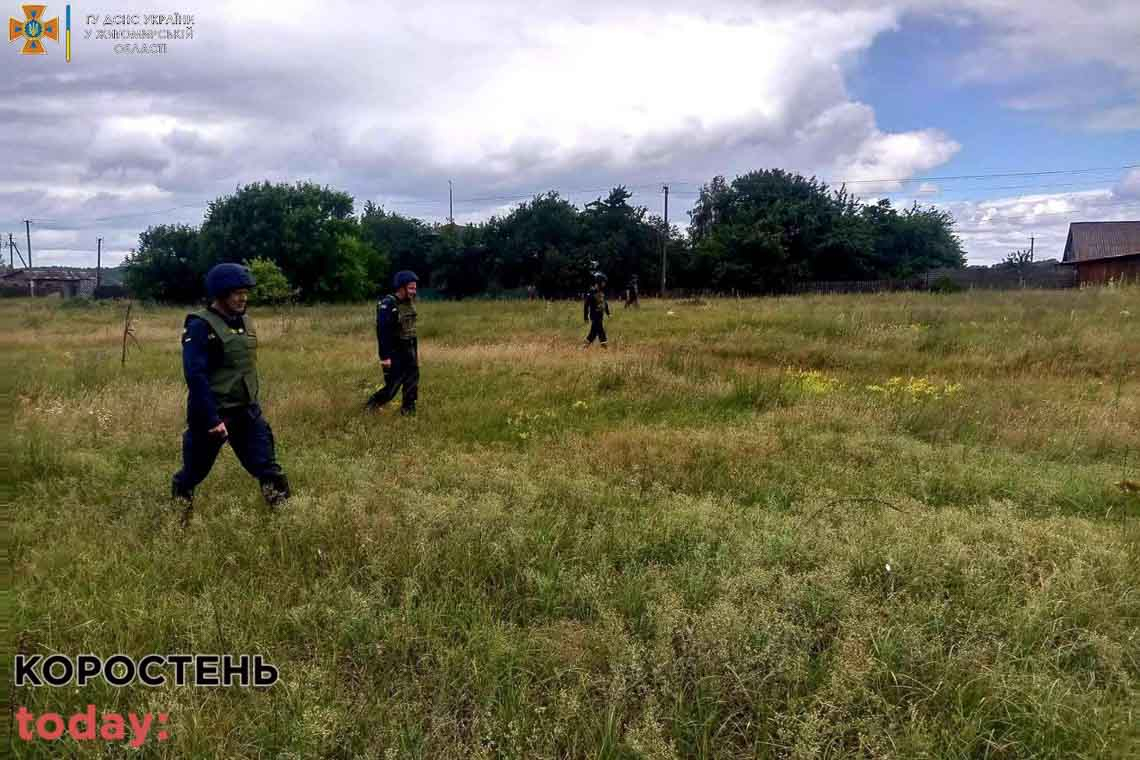 На території Народицької громади піротехніки виявили та знищили протипіхотну міну