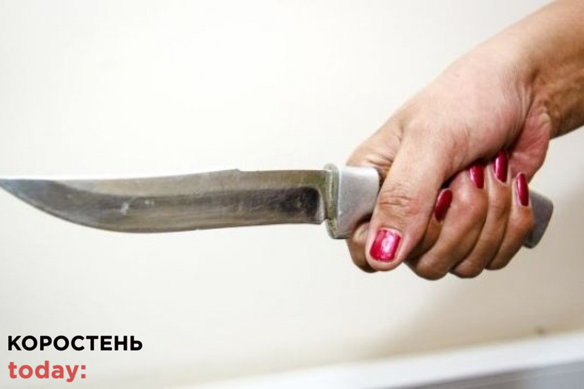 В одному з сіл Коростенського району під час сварки жінка вдарила ножем в груди свого співмешканця