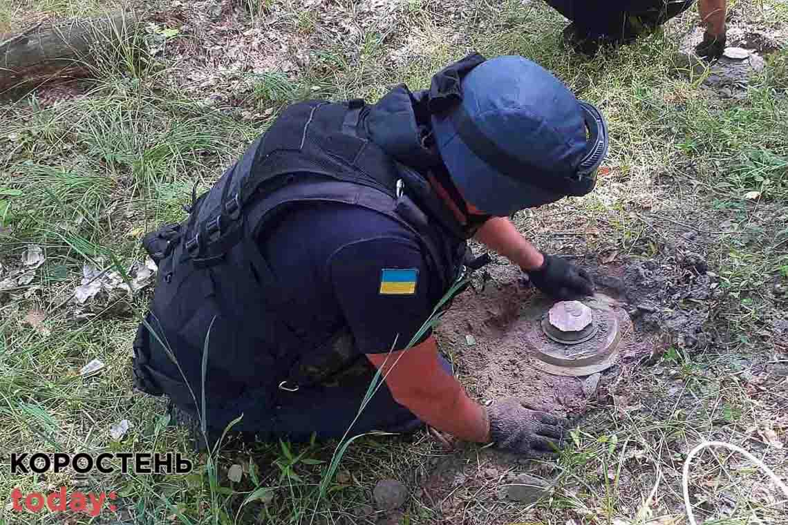 Піротехніки знищили чотири противотанкові міни, які були знайдені на території Народницького лісництва