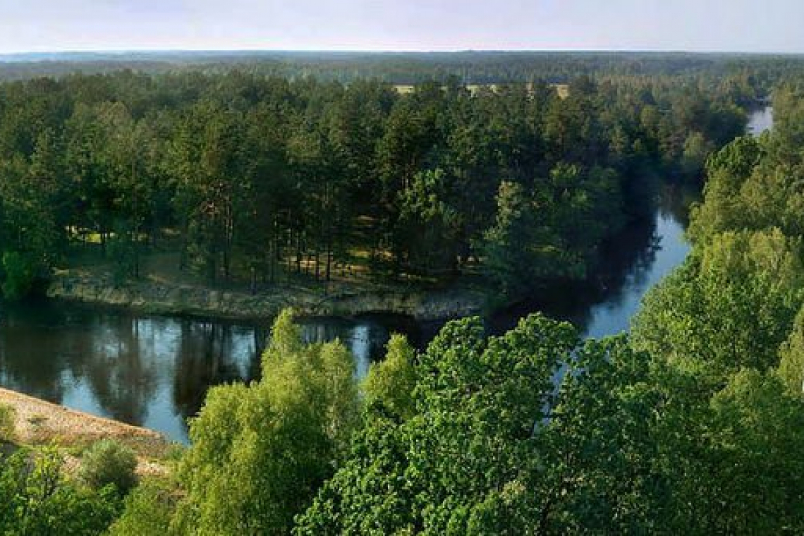 Фірма з Кривого Рогу встановить в Поліському природному заповіднику на Коростенщині сонячні батареї