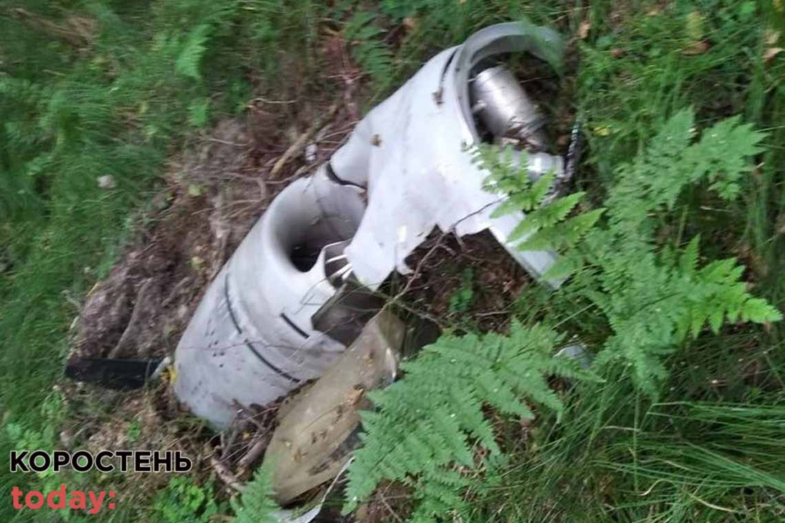 На території Коростенського лісгоспу знайшли уламки російської ракети «Калібр»