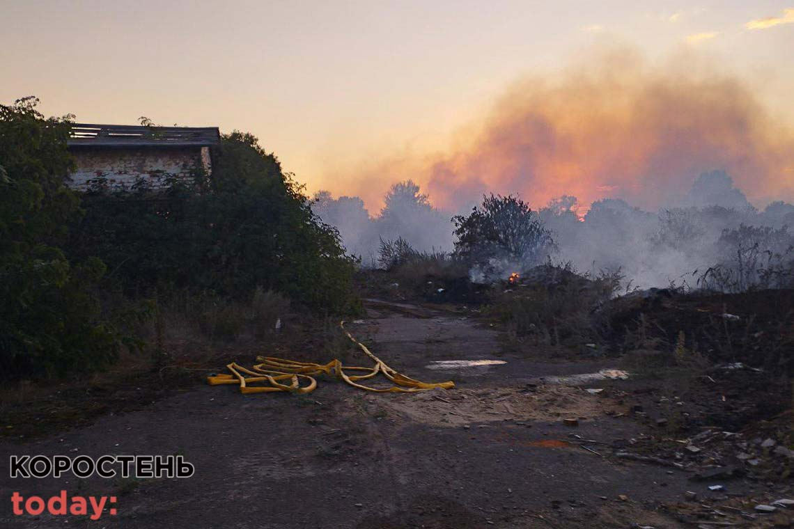 Поблизу одного з сіл Овруцької громади горіла суха трава: вогонь підбирався до лісу та будинків