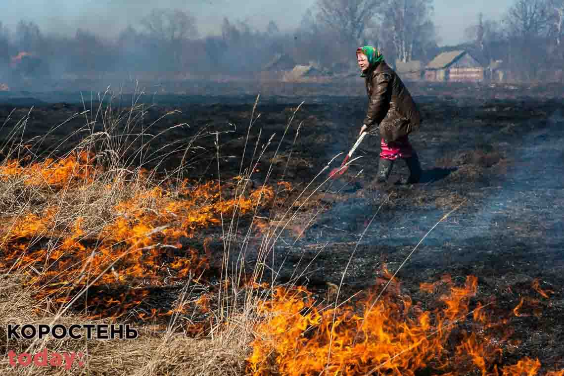 За тиждень на Коростенщині сталося близько 70 пожеж