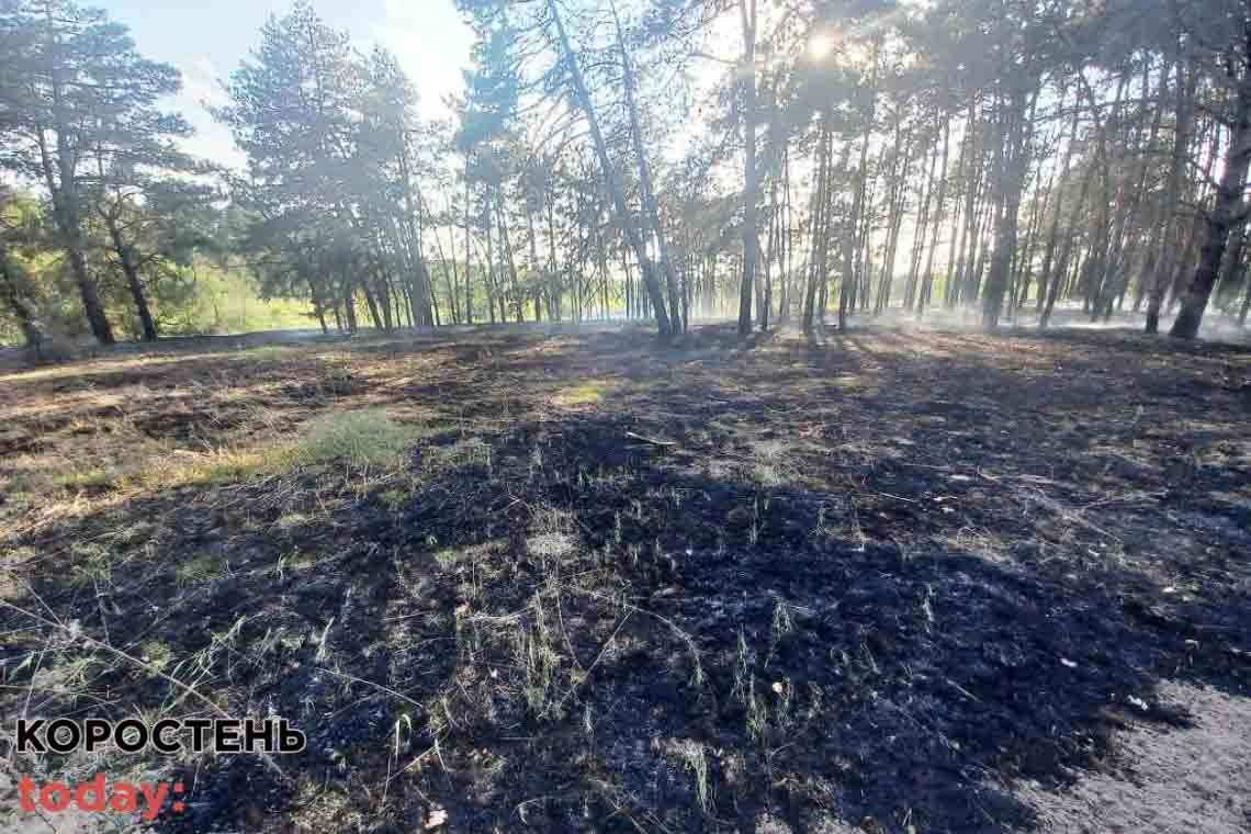 У селі Коростенського району поблизу цвинтаря рятувальники загасили палаючий сухостій