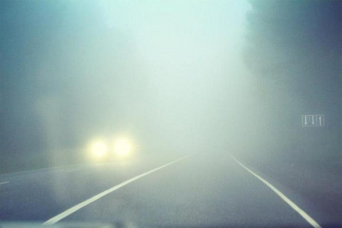 Синоптики попереджають водіїв про сильний туман на дорогах Житомирської області