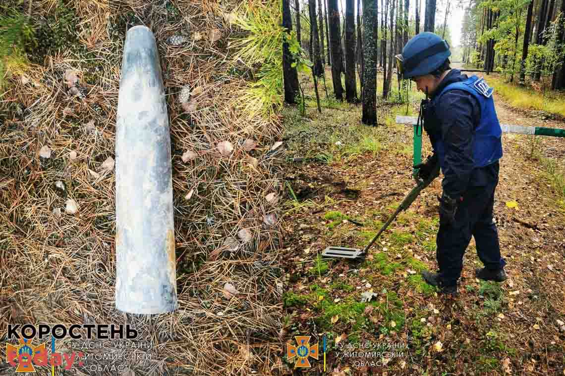 На території одного з сіл Народицької громади місцеві біля дороги знайшли "Град" та дві протитанкові міни в лісосмузі