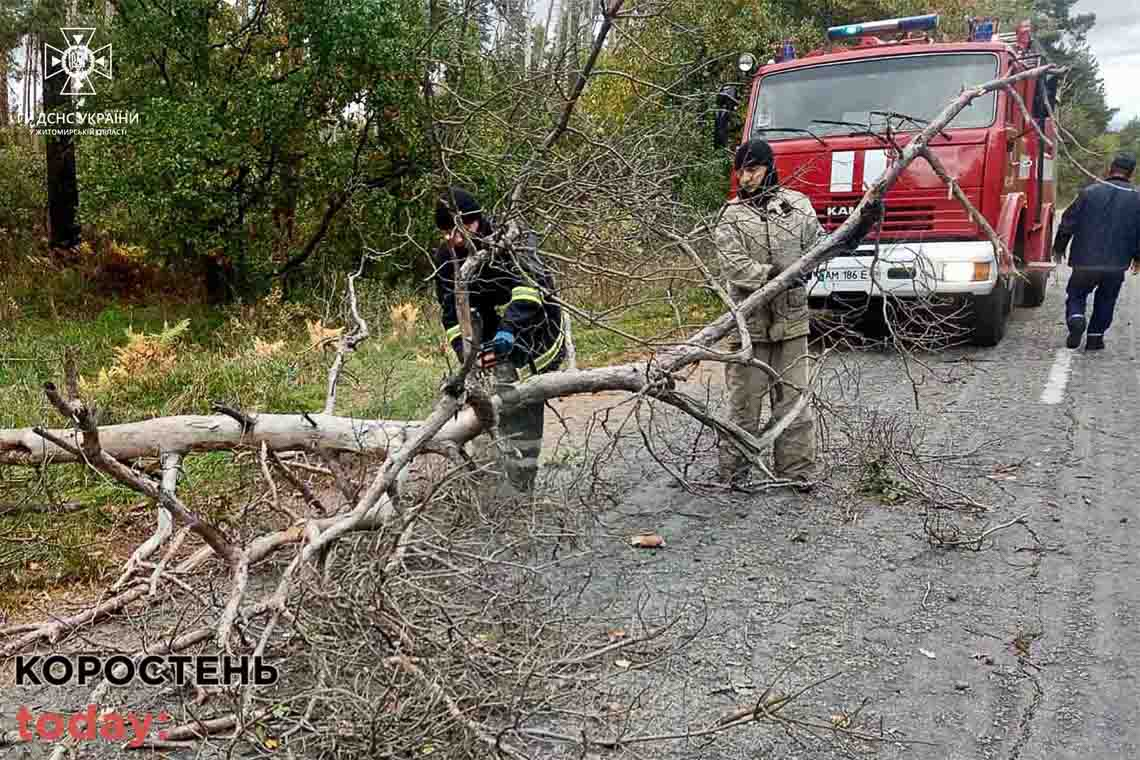 Через негоду на Коростенщині декілька населених пунктів залишились без світла (ФОТО)