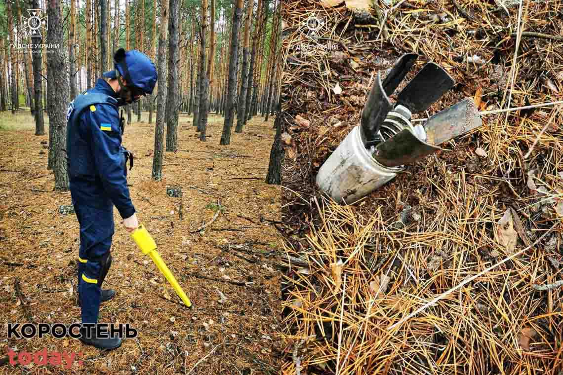 Поблизу сіл Малинської громади грибники знайшли у лісосмузі снаряди
