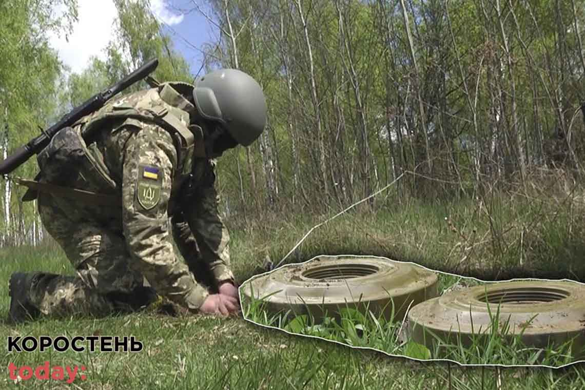 На Житомирщині розмінували 600 га території та знищили артснаряди, гранати, авіабомби