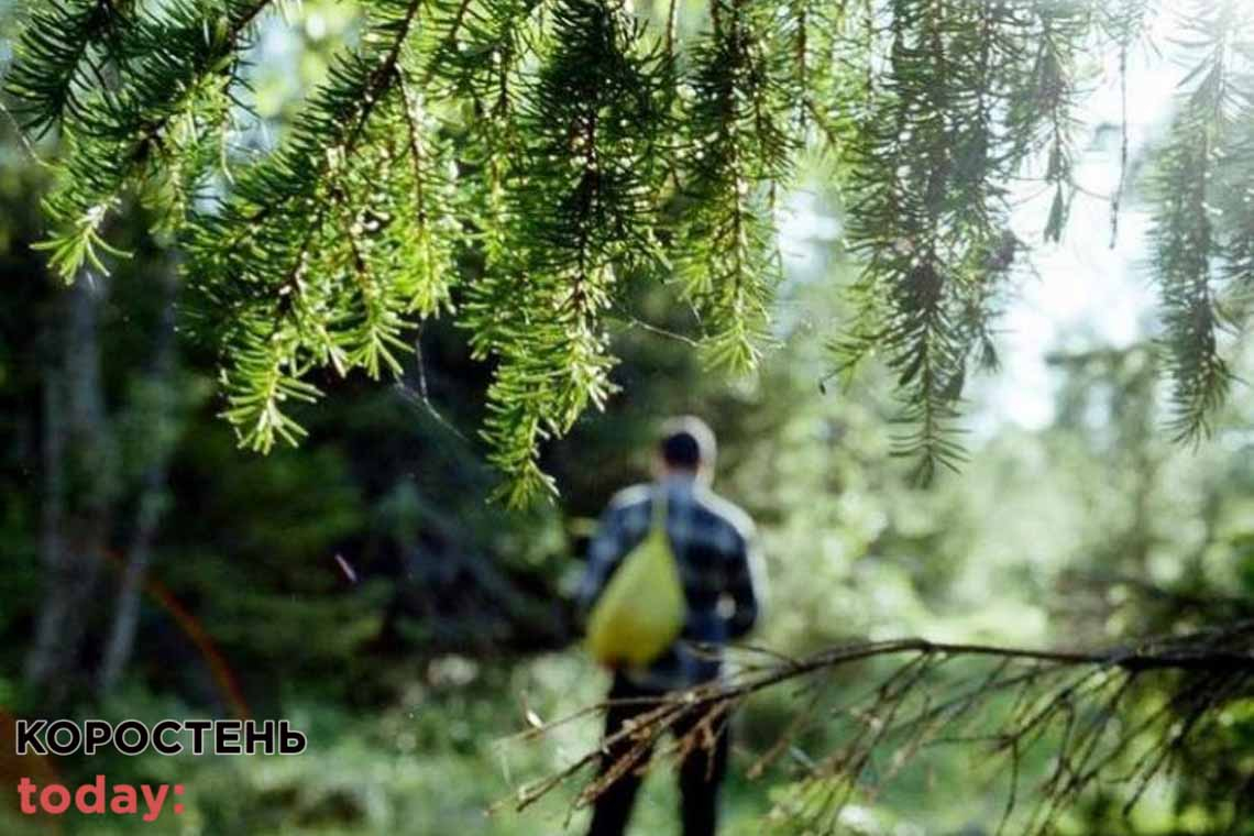 Поліція розшукує 62-річного Володимира Кулаківського з Малинщини, який пішов до лісу та не повернувся