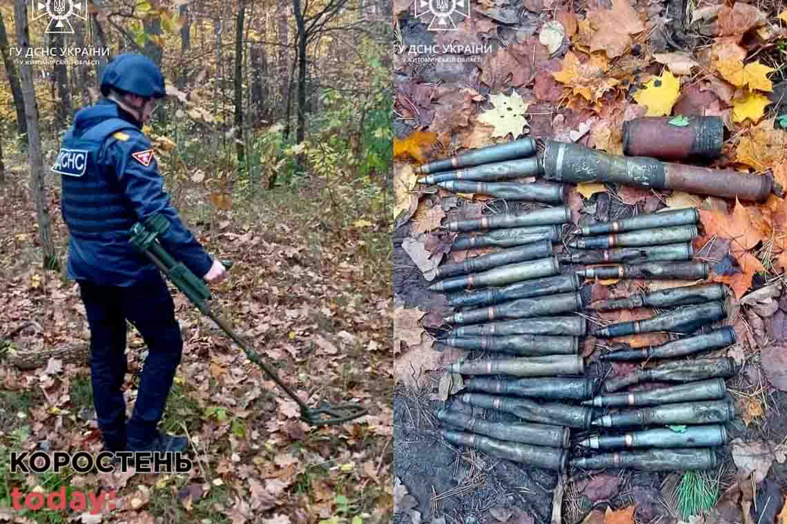 Поблизу одного з сіл Коростенського району піротехніки виявили міну, артснаряди та гранатометний постріл (ФОТО)