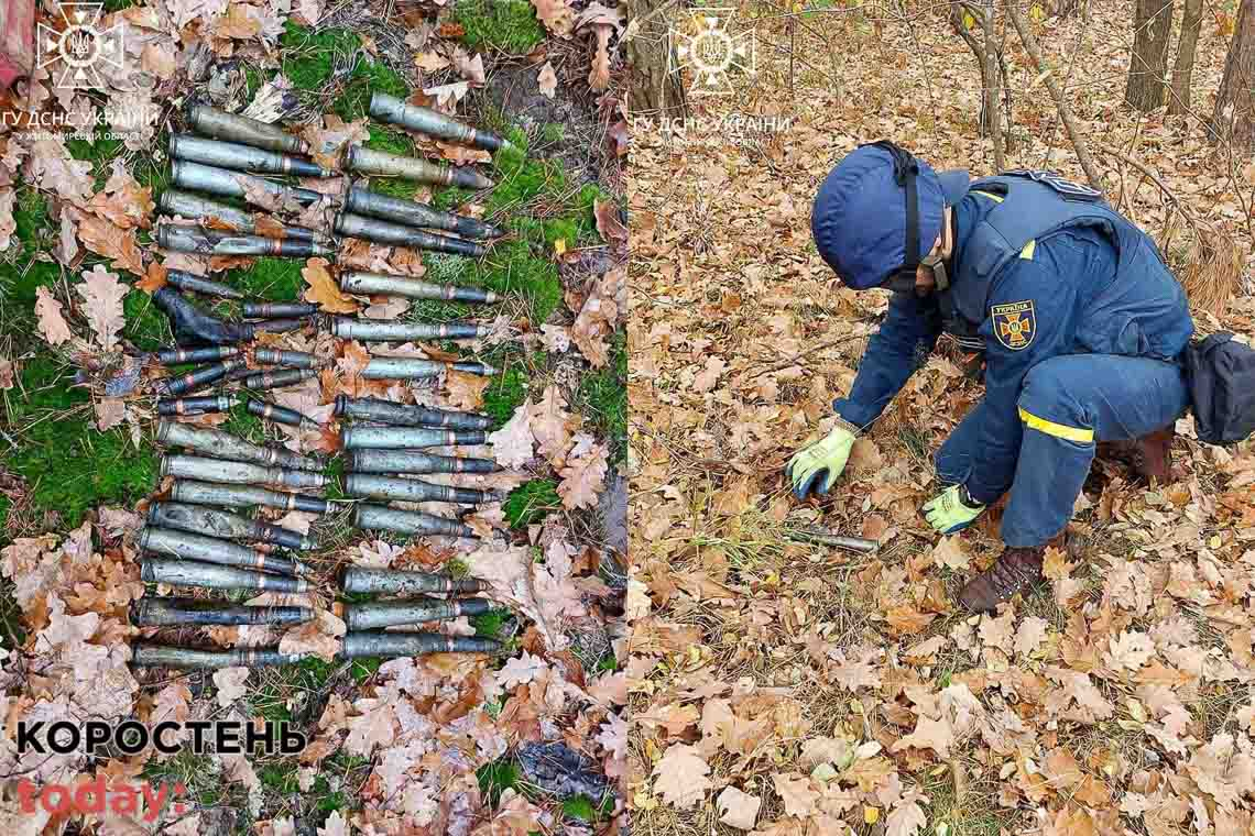 Біля Малина, Ушомира та на території Народицької громади виявлені снаряди й касетний елемент від "Урагану" 📷ФОТО
