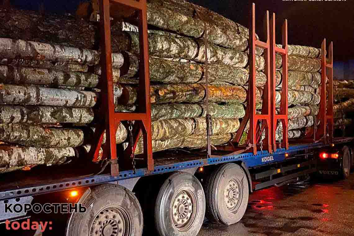 На дорогах Житомирської області за добу патрульні зупинили три вантажівки з деревиною: продукції було більше, ніж зазначено в документації