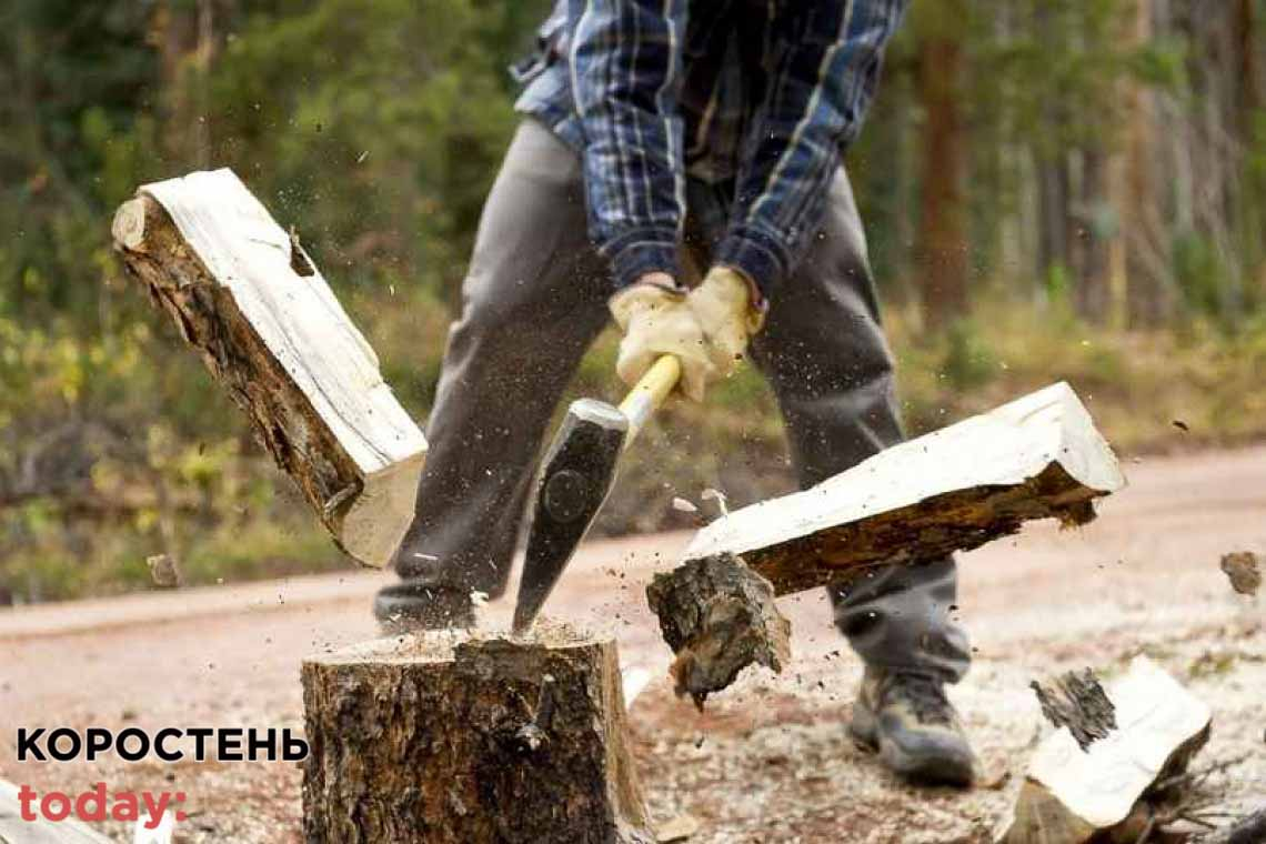 У двох громадах Коростенського району вже працює "Армія відновлення" - заготовляють дрова