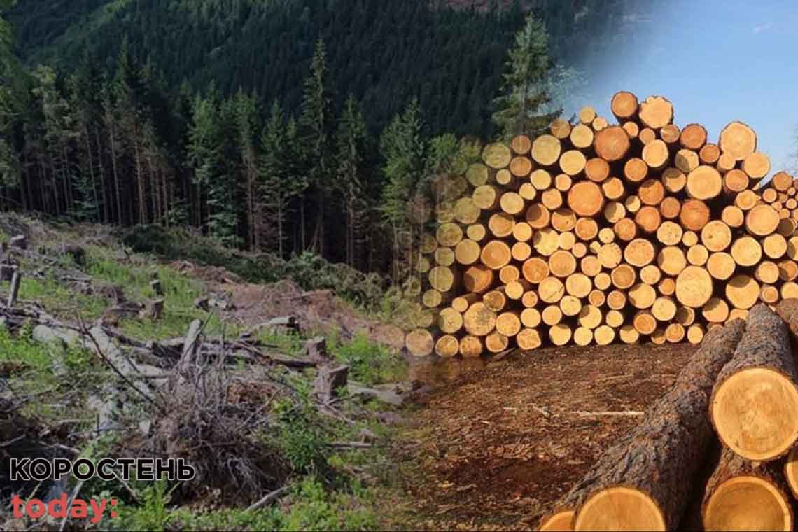 З лісового господарства на Олевщині стягнули 720 тис. грн шкоди, заподіяної незаконними порубками дерев