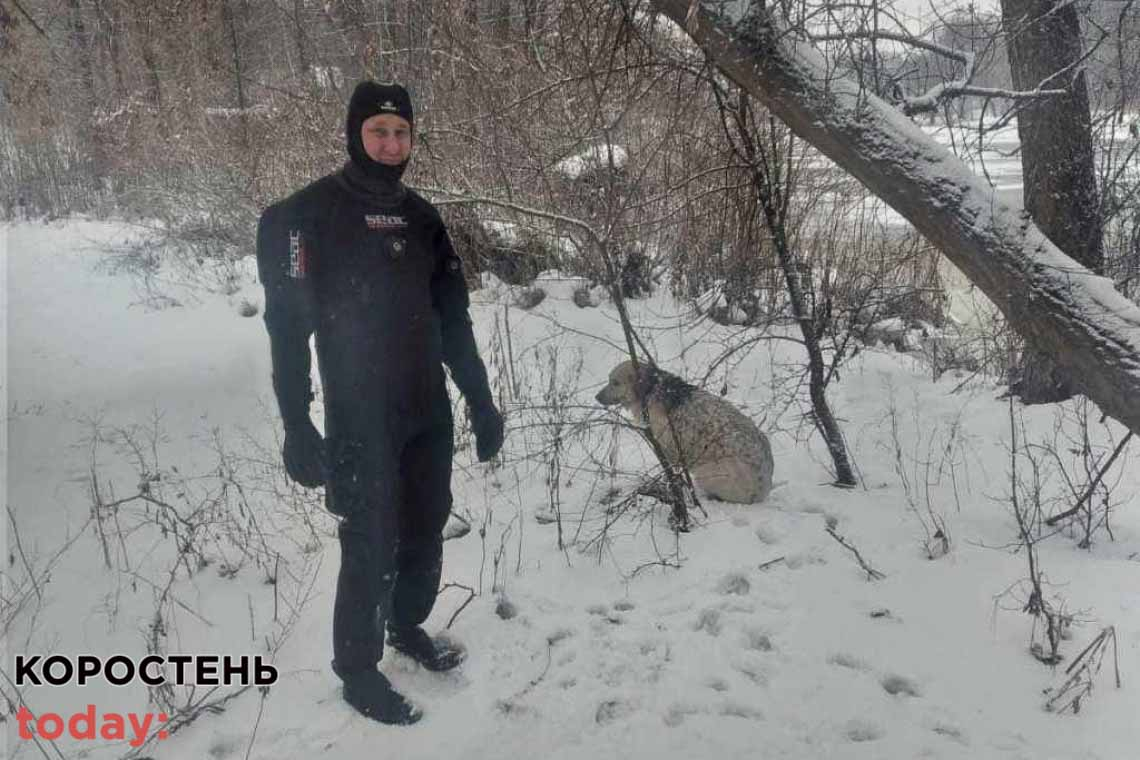 У Коростені водолази витягнули з крижаної річки двох собак 📷ФОТО