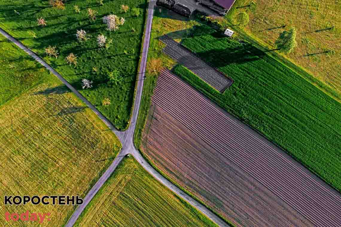 На території Олевської громади є вільні земельні ділянки під вирощування овочів та фруктів 
