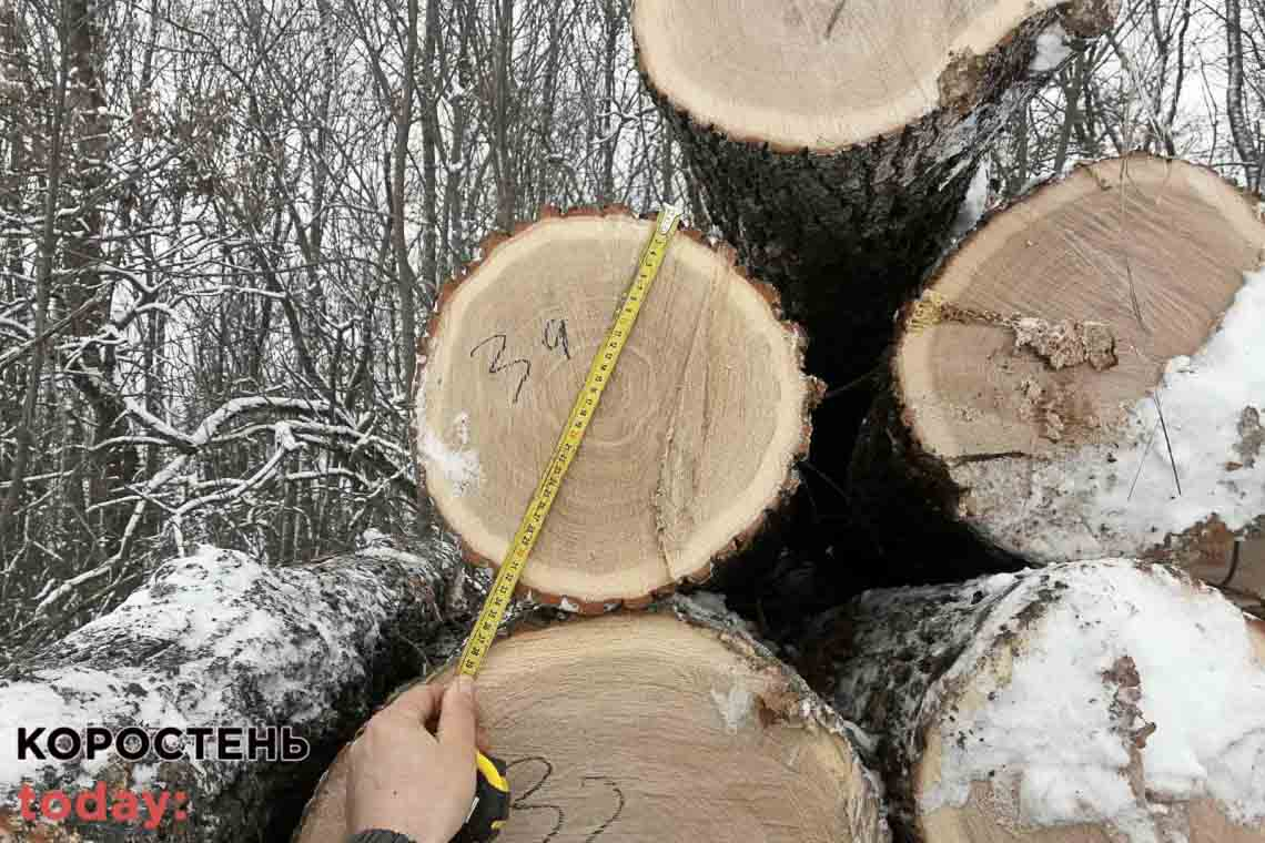 Минулоріч Коростенський райсуд засудив двох селян за незаконну порубку дерев