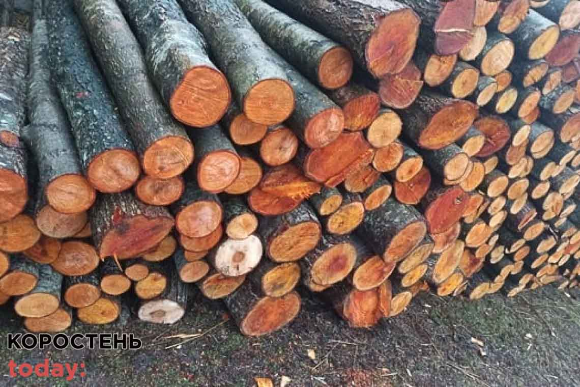 Відділ освіти у Народичах планує закупити деревину на понад 2 млн грн