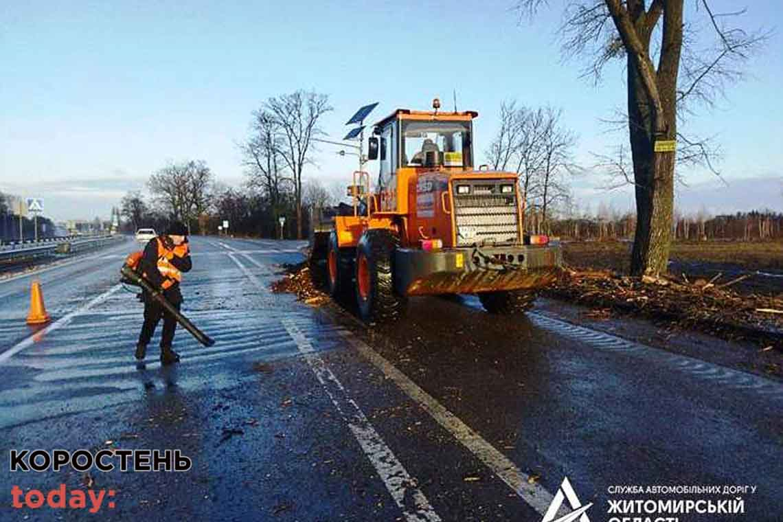 На вихідних у Житомирській області сильний вітер повалив дерева та порозвертав дорожні знаки