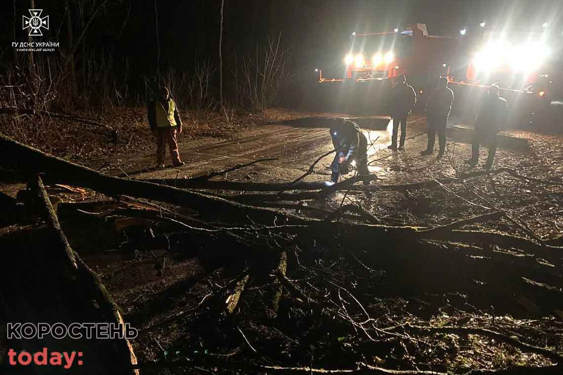 Через негоду в Коростенському районі декілька населених пунктів залишились без світла