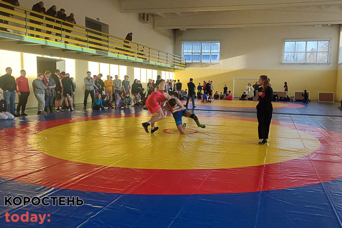 Малинські спортсмени вибороли медалі на чемпіонаті області з вільної боротьби