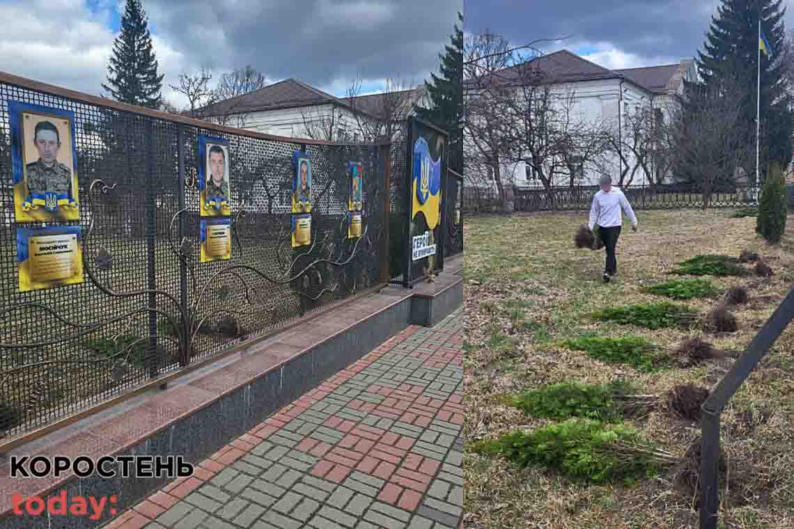 В Олевську біля меморіалу загиблим воїнам АТО чоловік намагався викрасти туї (ФОТО)