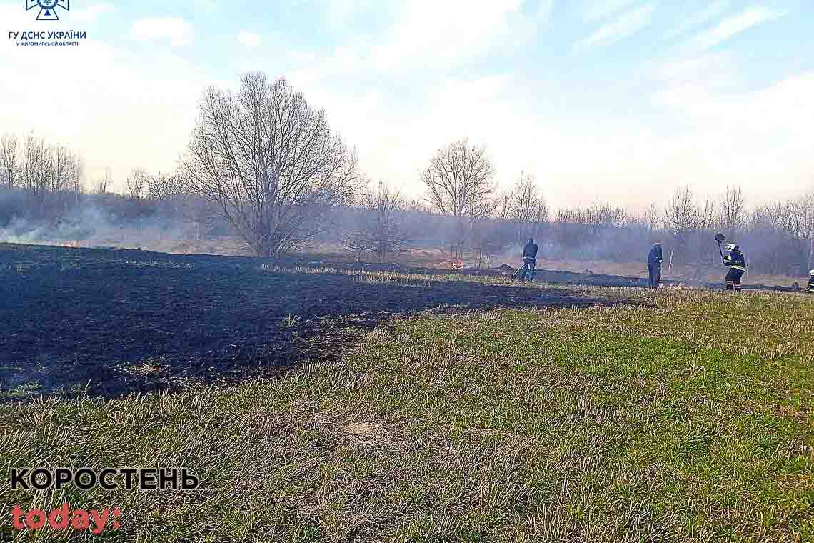 У селі Овруцької громади горіла суха трава: рятувальники не дали вогню поширитись на церкву та будинки