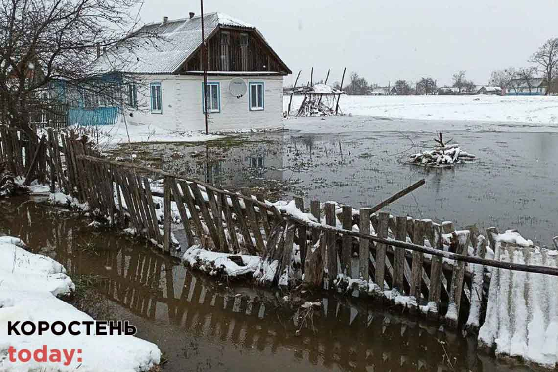 Працівники ДСНС відкачували ґрунтові води з приміщень будинків у Коростені та Олевську