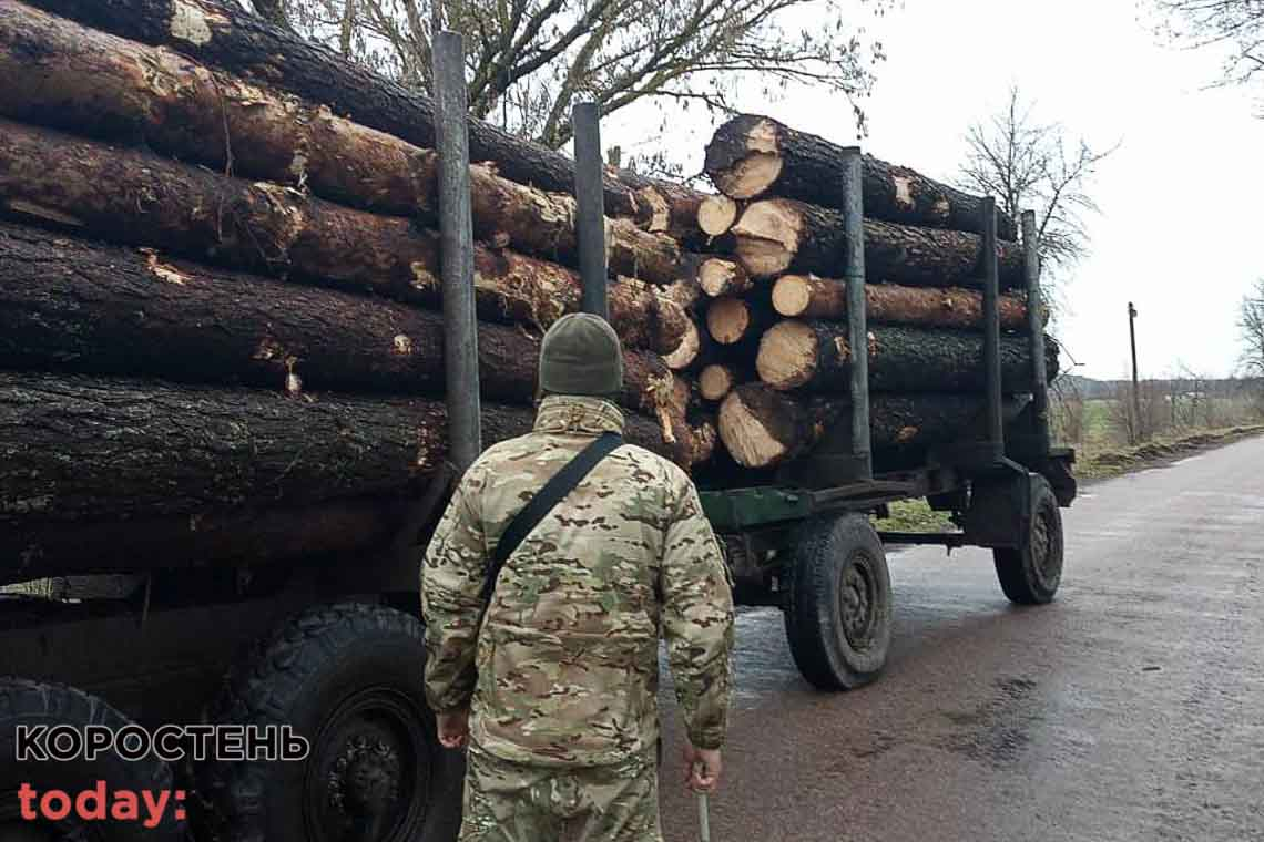 У Коростенському районі прикордонники зупинили дві вантажівки, завантажені лісом
