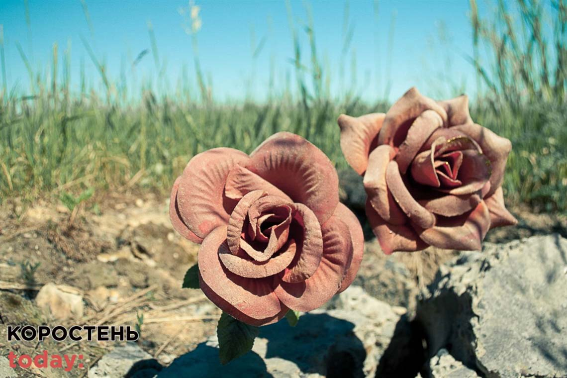 Екологи нагадали жителям Житомирської області про шкоду штучних квітів