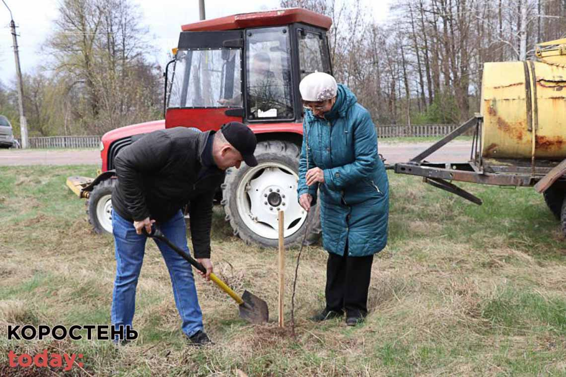 В Олевську висадили сад яблунь (ФОТОрепортаж)