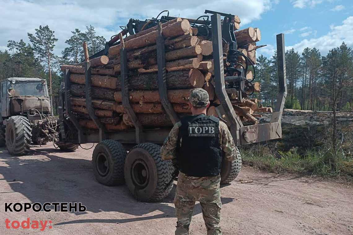 Прикордонники Житомирщини зупинили трактор, що перевозов соснові колоди: водій не мав необхідних документів