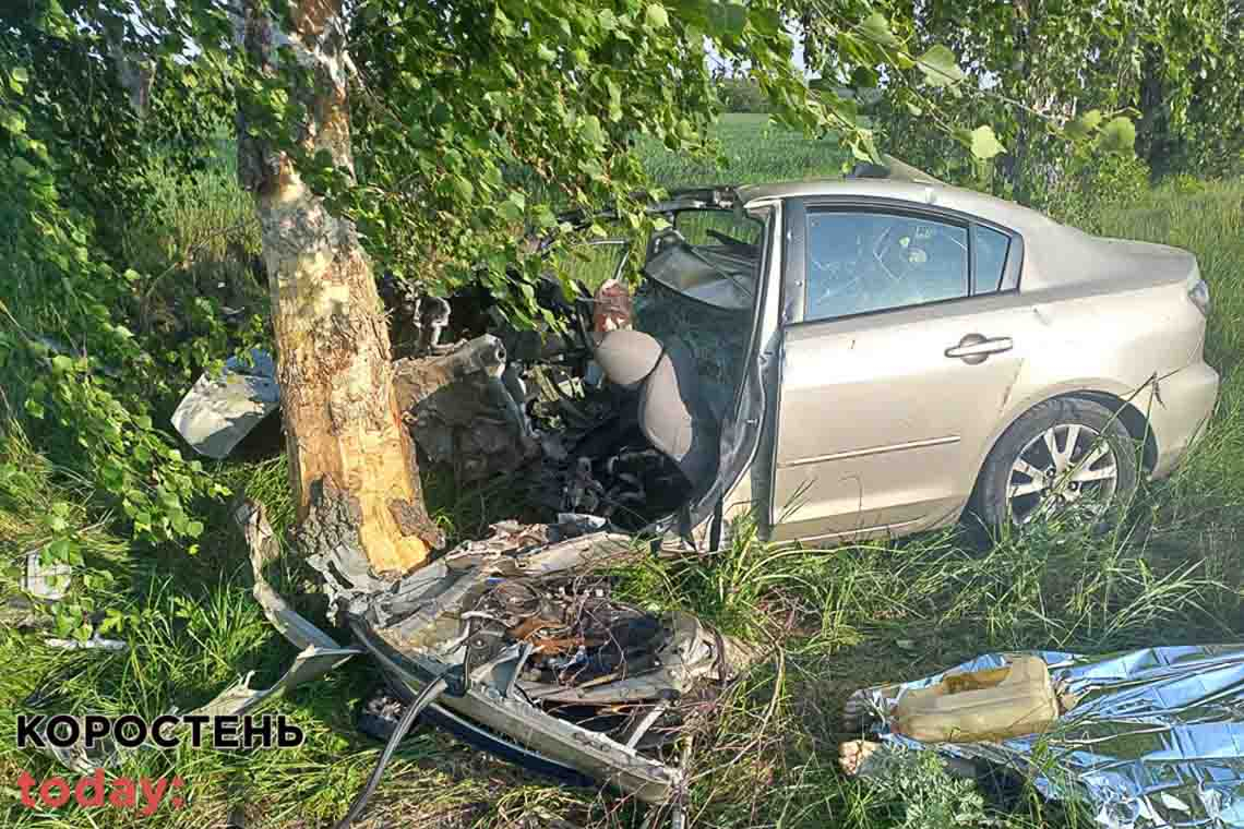 На території Малинської громади водій на Nissan врізався в дерево, загинула пасажирка (ФОТО)
