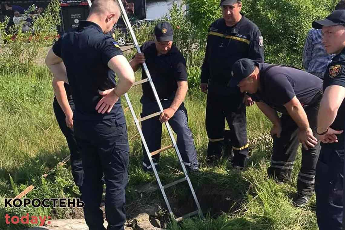 На Олевщині з ливневої каналізації витягнули собаку (ФОТО)