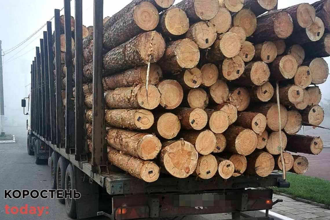 З початку року на Житомирщині розслідувалось близько 300 кримінальних проваджень за фактами незаконної порубки лісу