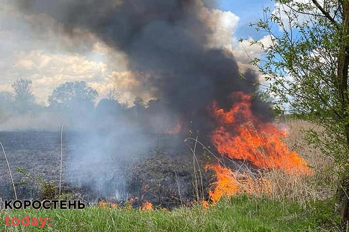 За пожежі у лісах Житомирщини та спалювання трави екологи оштрафували причетних майже на 50 тис. грн