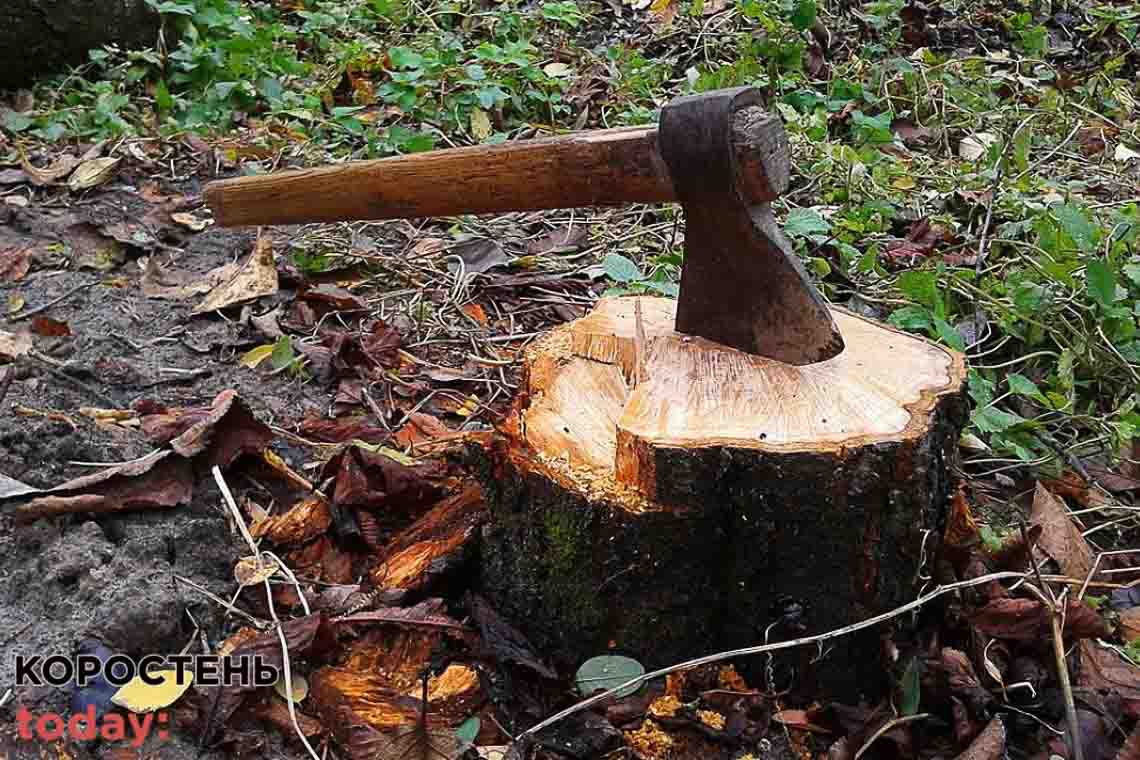 На Олевщині за незаконну порубку лісу з держпідприємства стягнуто 720 тис грн