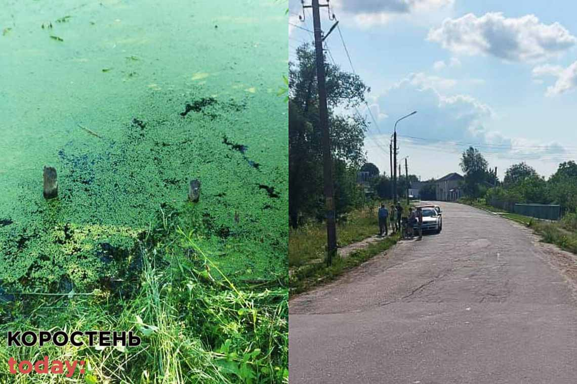 На Житомирщині жінка вбила знайомого, а тіло намагалась втопити у водоймі: допомагав 18-річний хлопець