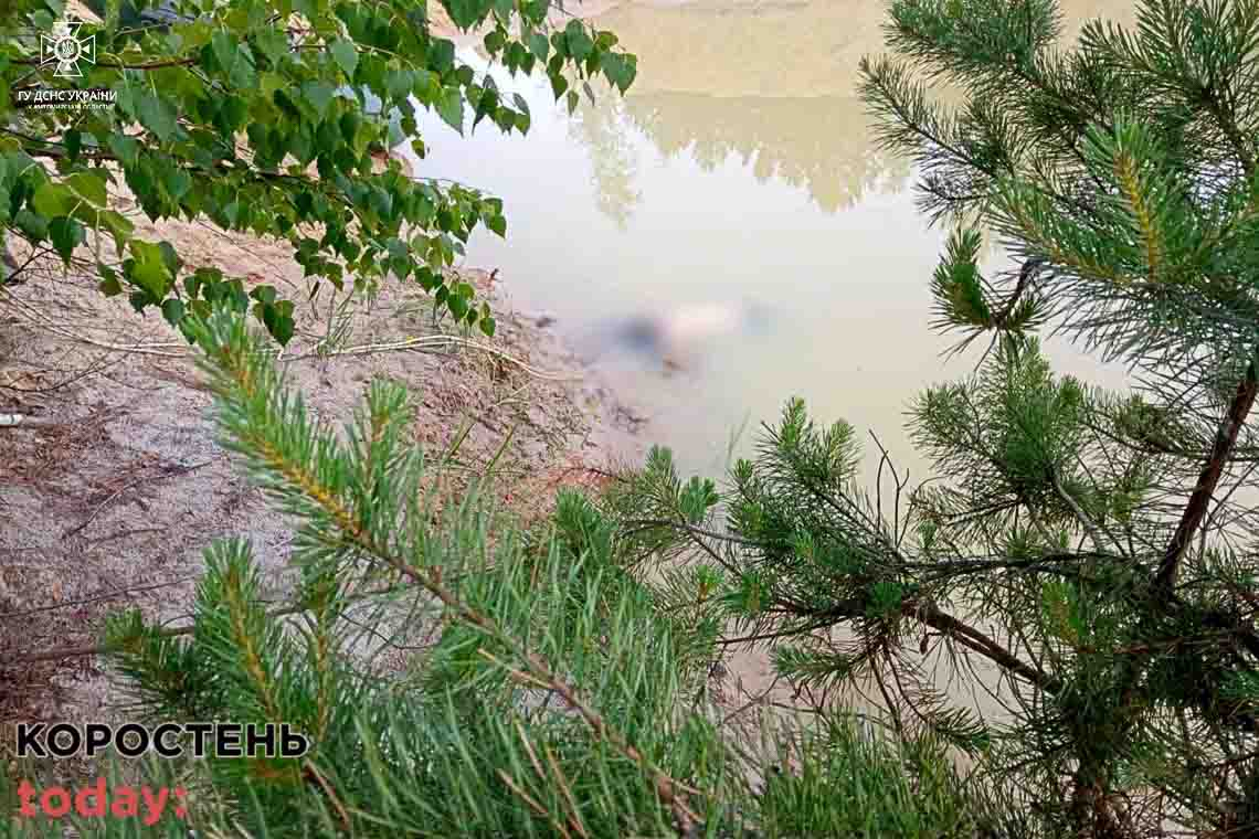 У селі Лугинської громади на ставку втопився чоловік