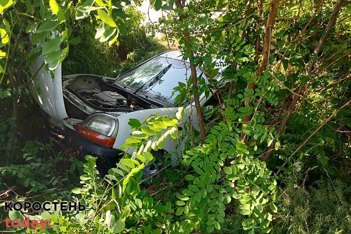 На трасі в Житомирській області Renault з'їхала в кювет: постраждала жінка та двоє дітей