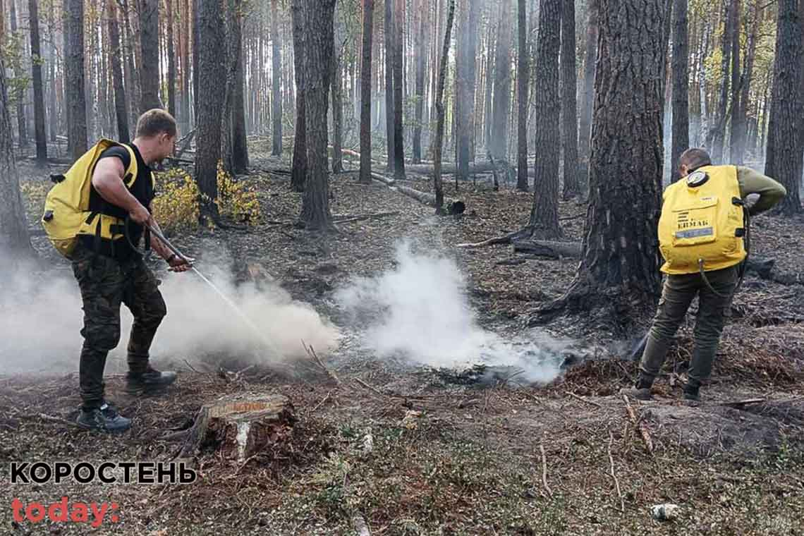 Пожежу не могли загасити впродовж року - наслідки російських обстрілів у заповіднику на Коростенщині