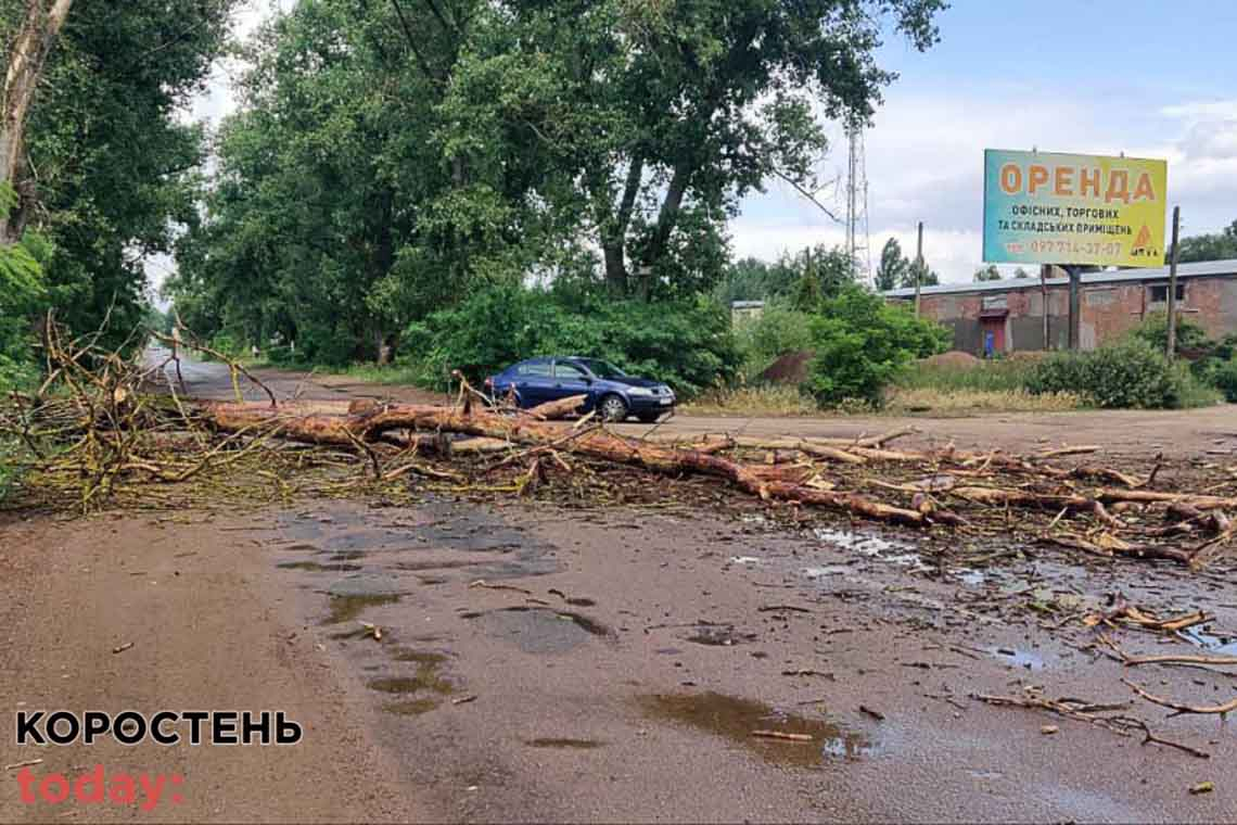 У Коростені рятувальники прибирали з дороги повалене дерево