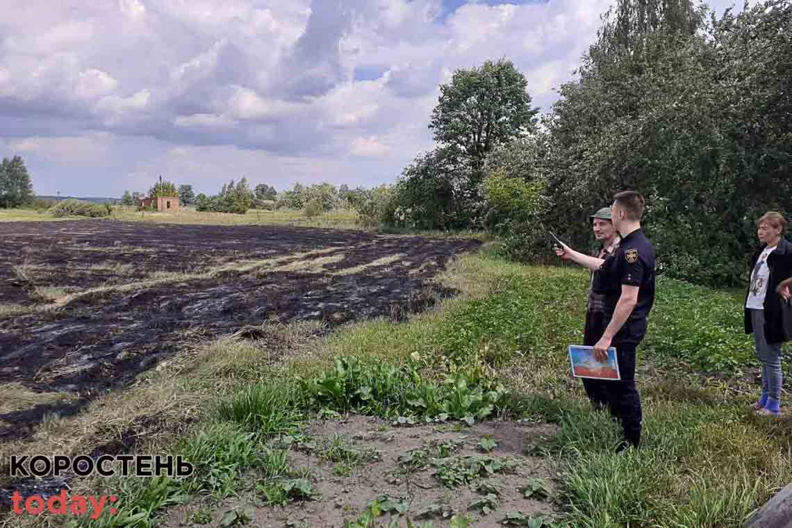 На Малинщині притягнули до адмінвідповідальності чоловіка за випалювання сухостою