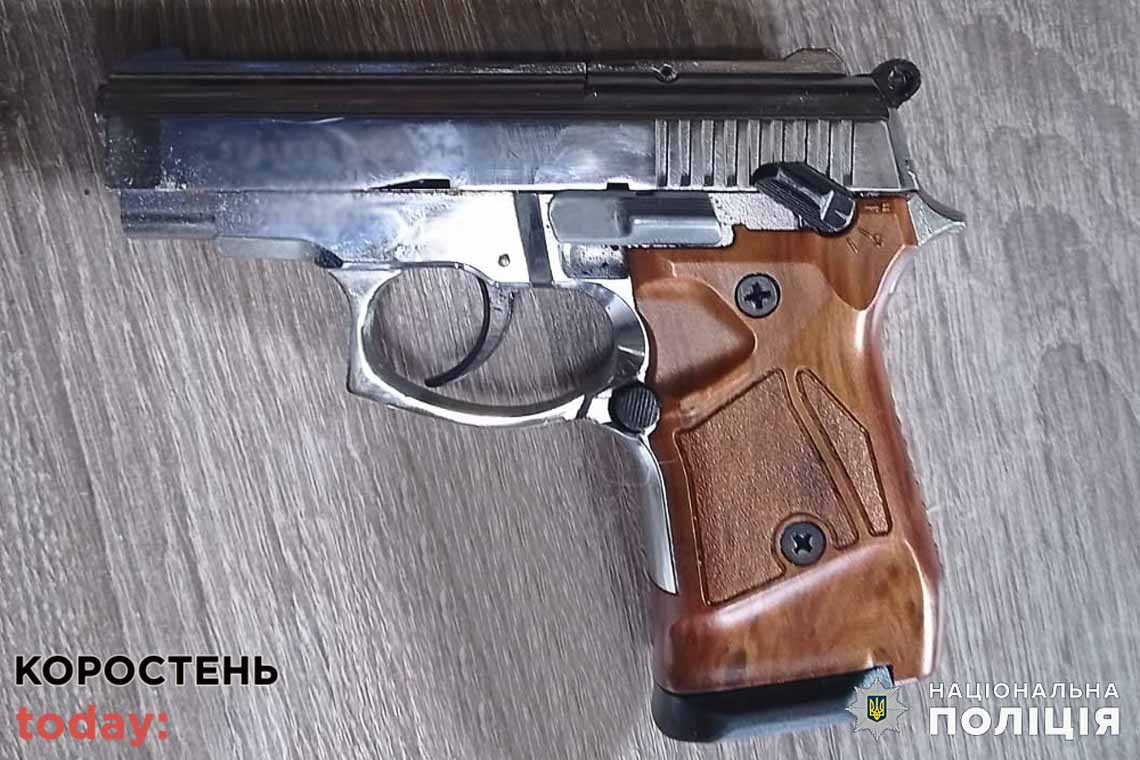 У жителя Малинщини поліцейські вилучили пістолет та кілька набоїв