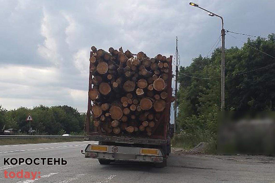 На Житомирщині поліція виявила чотири випадки порушення правил перевезення деревини